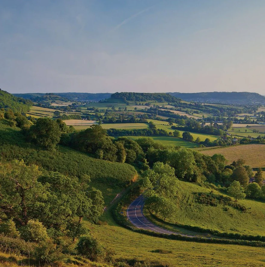 Cotswolds Distillery Nature and Wildlife Summer Update 2026
