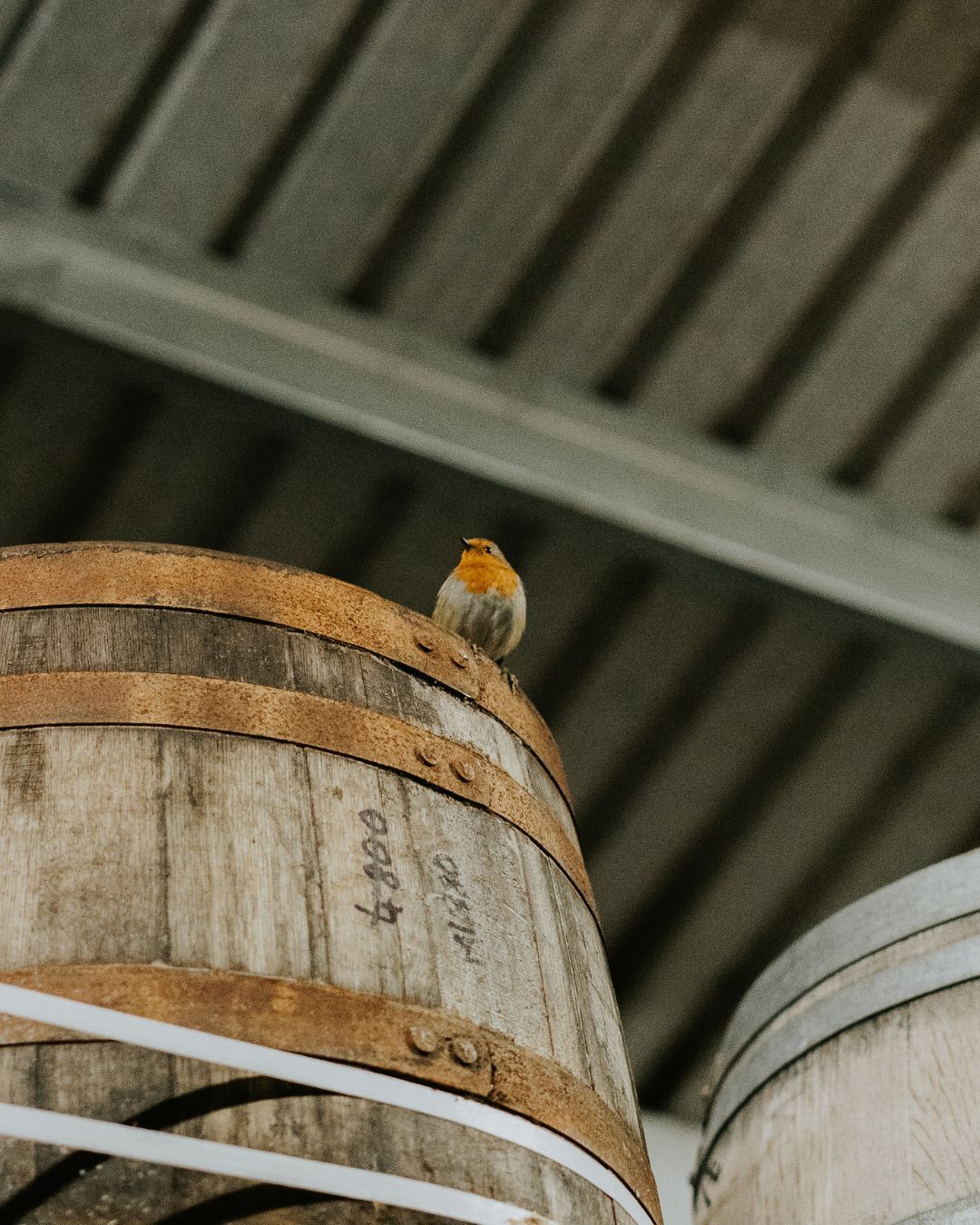 Cotswolds Cask Sales