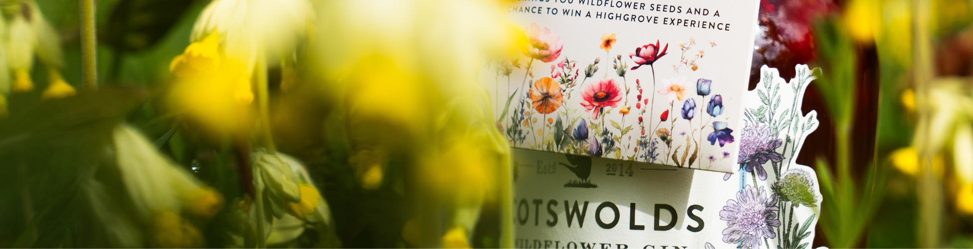 Cotswolds X Highgrove Wildflowers