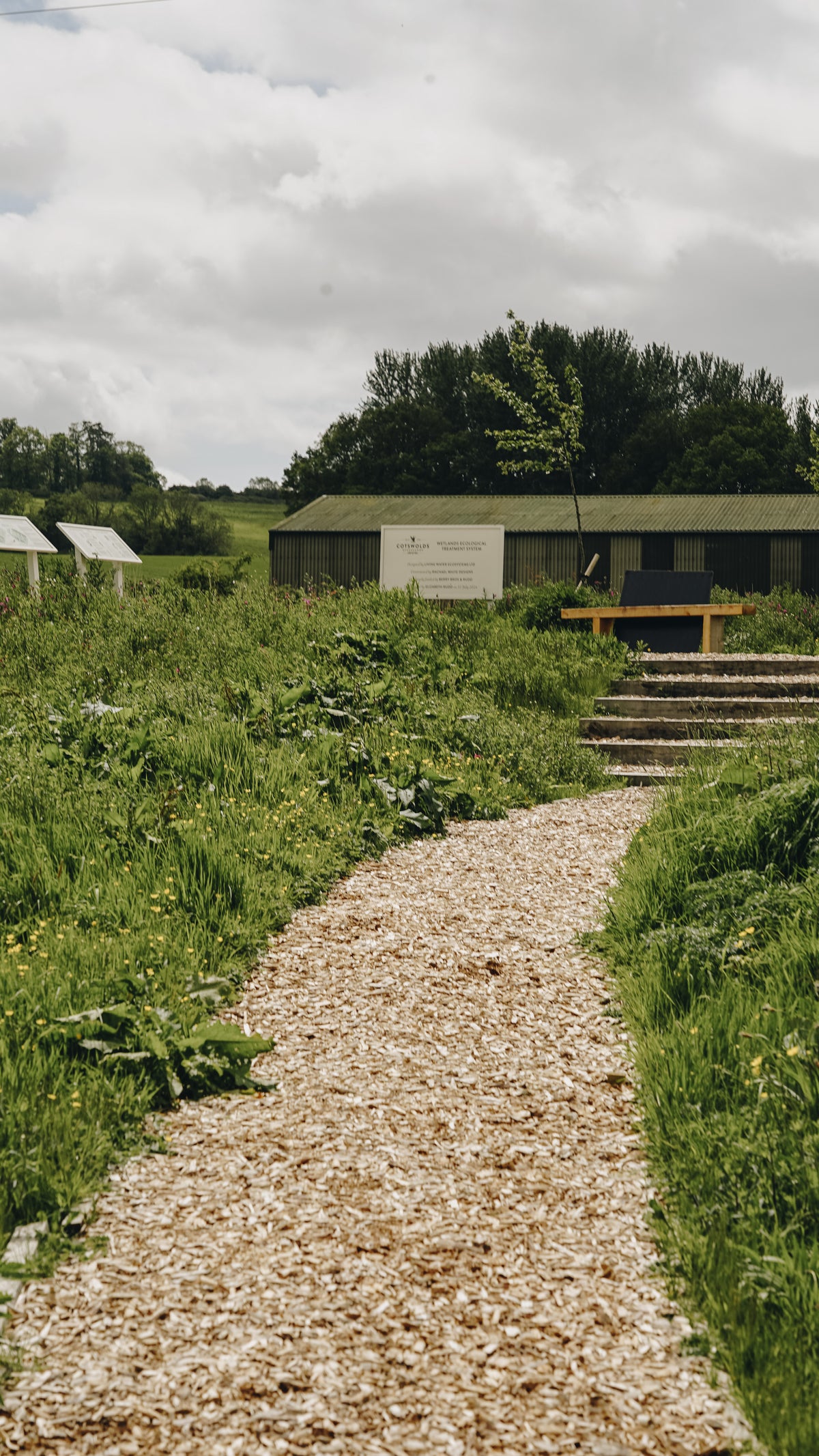 wetlands path at the distillery