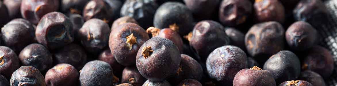 juniper berries