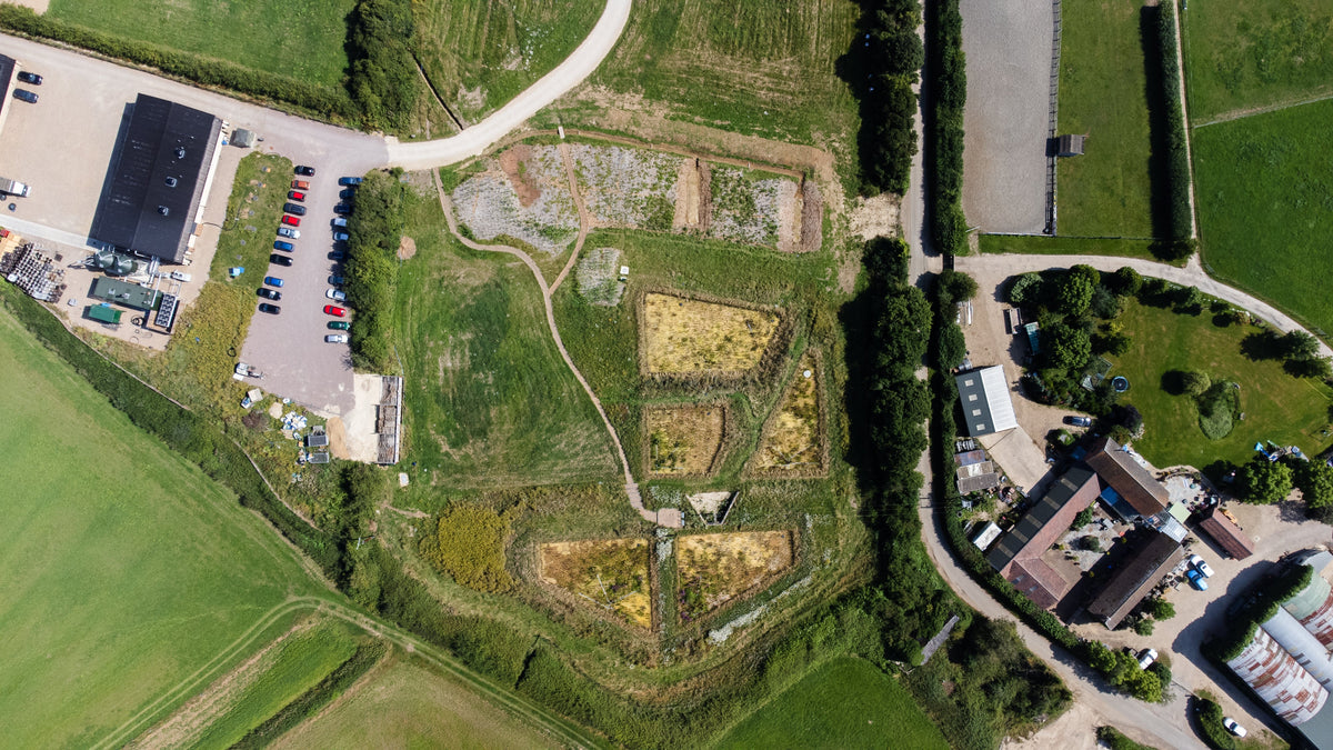 Cotswolds Distillery Wetlands: Turning Whisky Waste into Wildlife