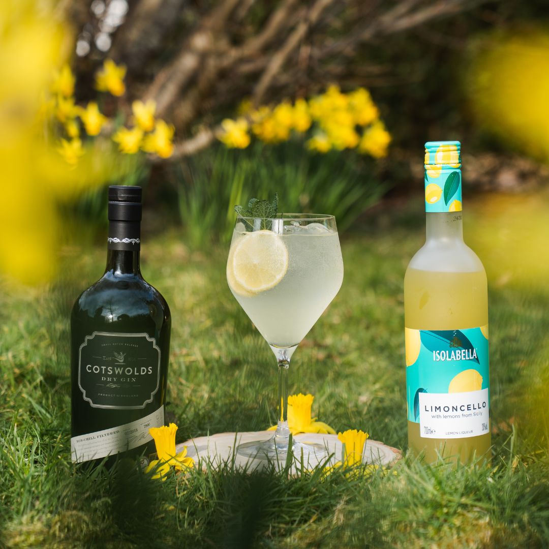 Gin Limoncello Spritz