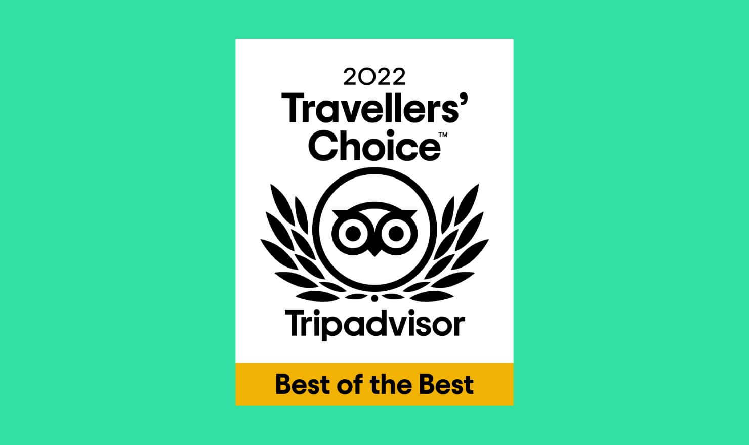 tripadvisor travellers choice award logo