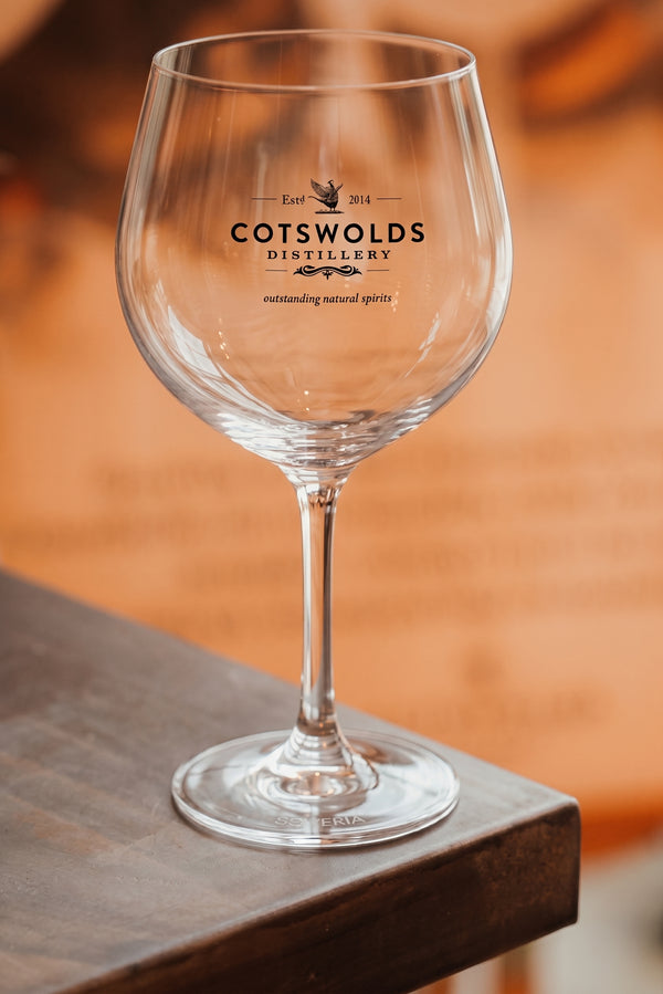 PLASTIC GIN COPA GLASS