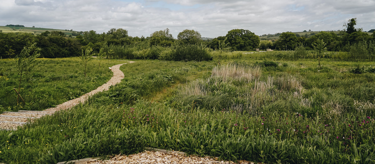 Wetlands in the cotswolds