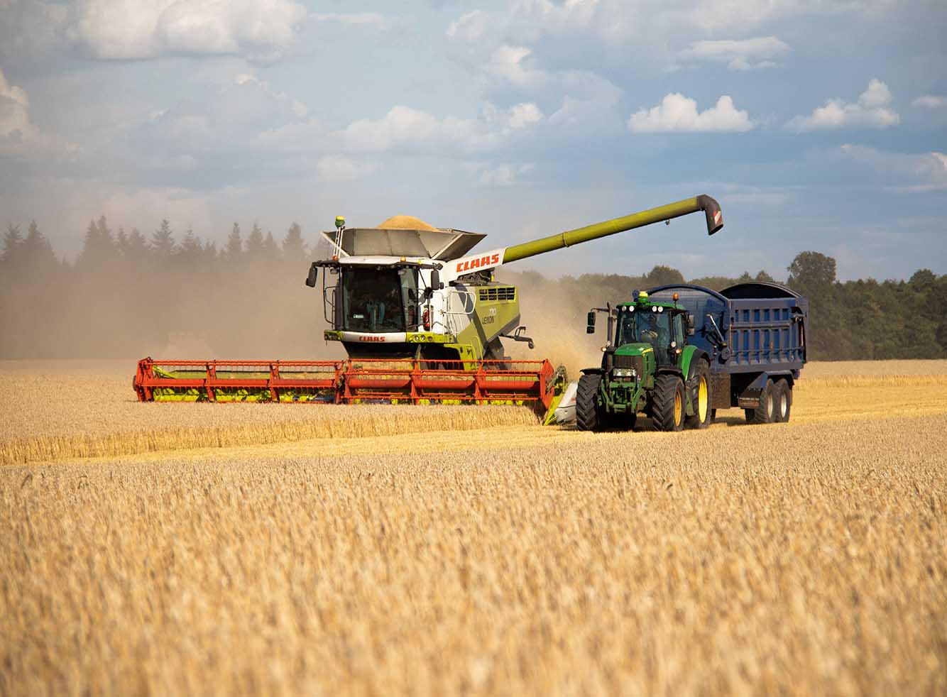 combine harvester and tractor harvesting field of barley