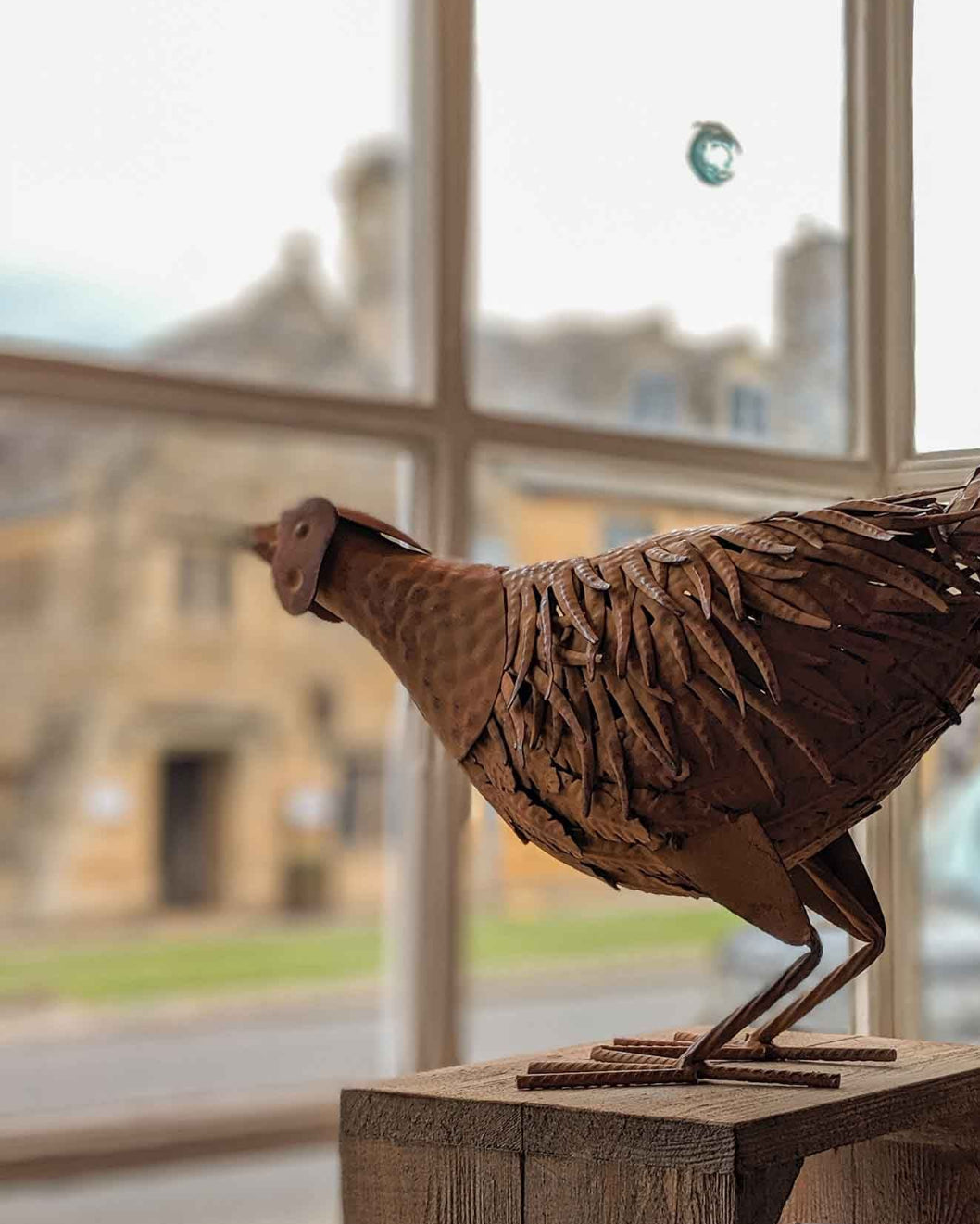 pheasant in shop window
