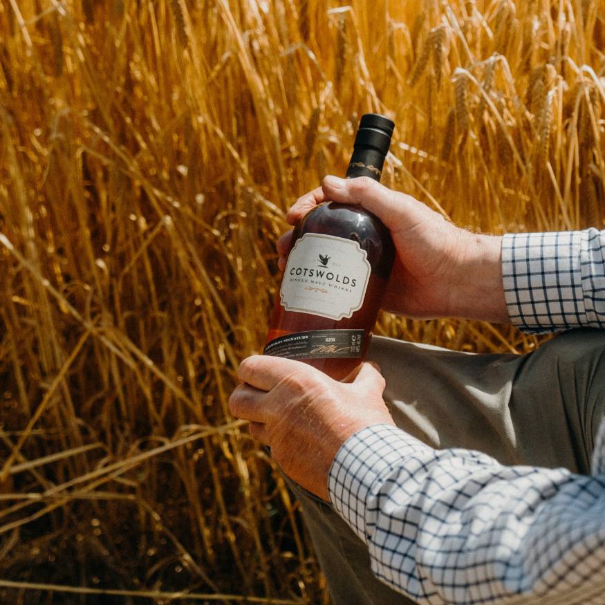bottle of signature single malt in barley field