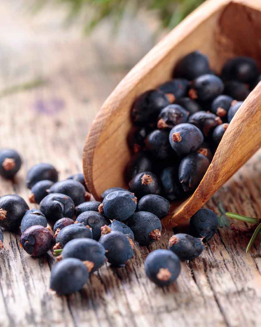juniper berries