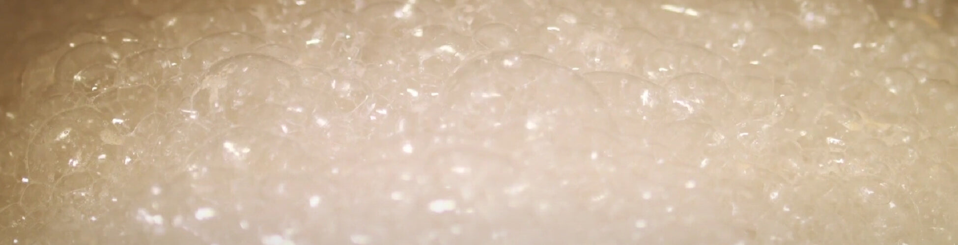bubbles from fermentation