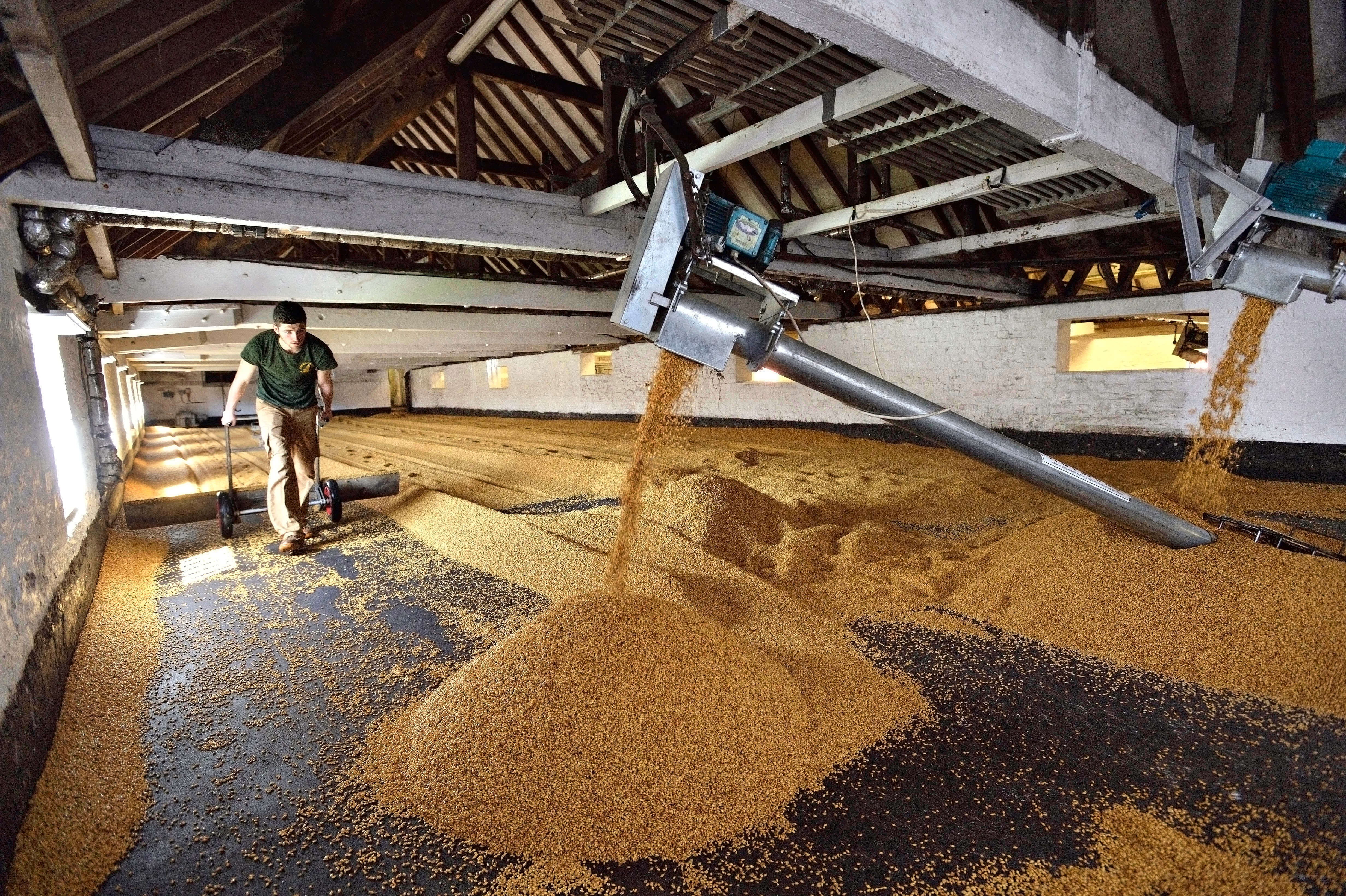 person floor malting barley