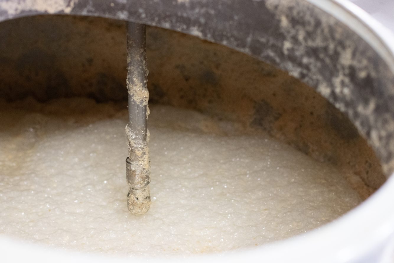 whisky fermentation bubbles